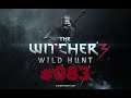 Lets Play The Witcher 3 #083