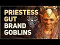 Priestess Gut brand Goblins with Absolute's Mark Baldur's Gate 3