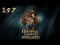 BG2EE: Shadows of Amn — Part 157 - Returning to the Amphitheater