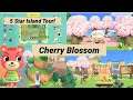 Cherry Blossom 5 Star Island Tour in Animal Crossing New Horizons + Dream Address
