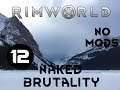 Let's Play Rimworld Naked Brutality: Tundra - 12 - No Mods