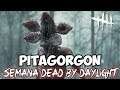 Pitagorgon - Dead By Daylight - Episódio 37