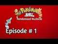 THIS TIME!!!! Pokemon Ruby Randomzier Nuzlocke Episode 1 w/TheRapidRapidash