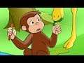 Jorge el Curioso en Español 🐵Jorge Contra la Pitón Turbo 3000 🐵Mono Jorge🐵Caricaturas para Niños