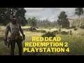 RED DEAD REDEMPTION 2 PS4 - HILÁRIO DEATHS DOOR NOTA 91 COM APENAS 06 REVIEWS E DINHO VANGLORIANDO