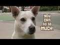 Russian Subway Dogs - Trailer de lancement PSVita