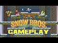 Snow. Bros Nick & Tom Gameplay