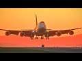 Sunset Landing in Auckland - Lufthansa 747-400 [X-Plane 11]