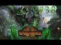 Total War Warhammer II [PL] #38 Ikit Szpon - The Prophet and The Warlock