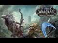 World Of Warcraft - BFA pre-vanilla Archlinux Lastest version of DXVK 8/19/2019