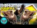 DOUBLE Diamond Collared Peccary?! & FINALLY a Melanistic Goose! | theHunter Call of the Wild
