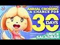 Guy Gives Animal Crossing a Chance for 30 Days (and Much More)