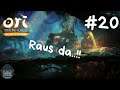 🍃Ori and the Blind Forest: Definitive Edition🍃#20 Raus da!!! (Let's Play /Deutsch/Kitty)2020