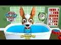 PAW Patrol: A Day in Adventure Bay - Tracker #5