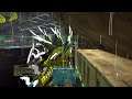 PS2 Ark unofficial pvp