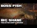 The Catch Carp & Course Boss Fish Big Shane 150 lb Wels Catfish Rotterdam