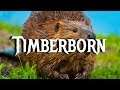 Timberborn Closed Beta!