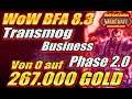Von 0 auf 267.000 Gold 🤑📈  Meine METHODE im WoW TRANSMOG Business | Phase 2.0 | WoW Gold Guide