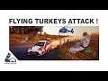 Flying Turkeys Attack - WRC 9