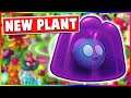 NEW MURKADAMIA NUT | Plants vs Zombies 2