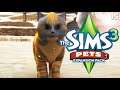 STRANGE KITTEN! 🐱 // Sims 3: PETS (Part 15)