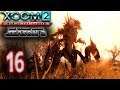 The Crysalid Hord - [16]XCOM 2 WOTC: Clone Wars Season 2 (Legend)