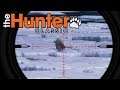 The Hunter Classic #13 -Eisbären -The Hunter