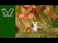 Tukoni | Steam Free Game| Steam 免费游戏 | Let's Play