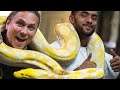 20 FOOT SNAKE vs BROTHER NATURE!!! | BRIAN BARCZYK