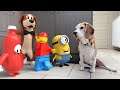 Best of Real Life Animations : Lego - Minion - Among us - Minecraft and many more!
