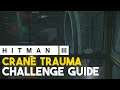Hitman 3 Crane Trauma Challenge Guide (Berlin)