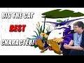 Sonic Character Analysis: Big the Cat