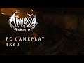Let´s Play Amnesia Rebirth #01 Der Flugzeugabsturz  4K60