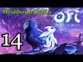 Ori and the Will of the Wisps Part 14 - Mouldwood Depths