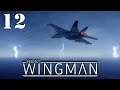 Project Wingman #12 (Mission 12 - Midnight Light)