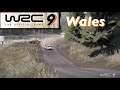 【WRC9 攻略】 WALES Hafren 難関 ウェールズ ヤリス Yaris 3'43