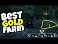 BEST Gold FARM Location: NEW WORLD MMORPG