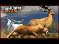 GAMO E ONÇA DIAMANTE E UMA CABRA TROLL - THE HUNTER: CALL OF THE WILD | [PT-BR]