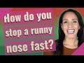 How do you stop a runny nose fast?