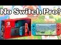 "New" Switch Coming: My Thoughts, and How it May Affect Switch Pro!