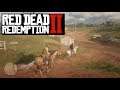 Red Dead Redemption II PC - Friends in Very Low Places - Chapter 3: Clemens Point