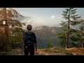 The Last Of Us Part 2 - Seattle Day 2 All Collectables
