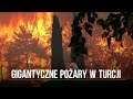 Turcja. Gigantyczne pożary w Bodrum, Manavgat i innych kurortach