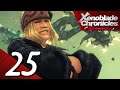 Xenoblade Chronicles: Definitive Edition Playthrough part 25 (Japanese Voices)