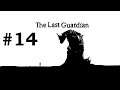 #14 ENDING The Last Guardian végigjátszás | PS5