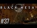 Black Mesa Walkthrough - Xen mi Büyüksün Ben mi? - Bölüm 37