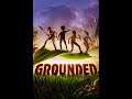 Grounded Session 3 Part 2