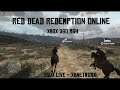 Jogando Red Dead Redemption na Xbox Live - Xbox 360 RGH com servidor Gratuito xbNetwork - Modo No KV