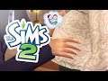 LITTLE BABY BUMP AND BUYING A MINIVAN! 🚗🤰| THE SIMS 2 // BROKE FAMILY— PART 23
