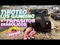 LOS GAMBINO vs LOS PAPASITOS DIABOLICOS - TIROTEO | MARBELLA VICE #15  🌴